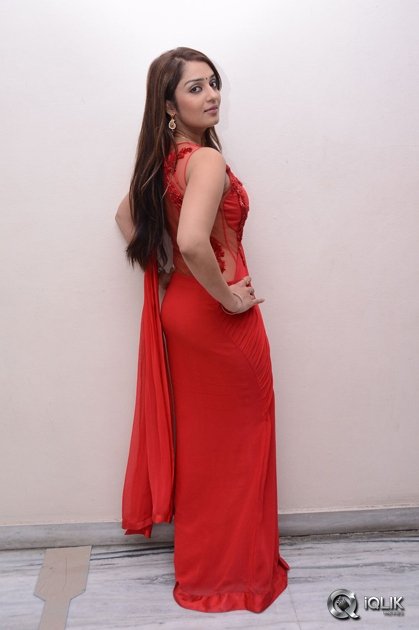 Nikitha-at-Terror-Movie-Press-Meet